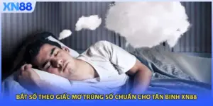 Bắt Số Theo Giấc Mơ Trúng Số Chuẩn Cho Tân Binh XN88