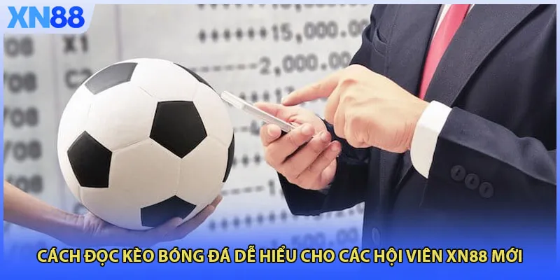 Cách Đọc Kèo Bóng Đá Dễ Hiểu Cho Các Hội Viên XN88 Mới